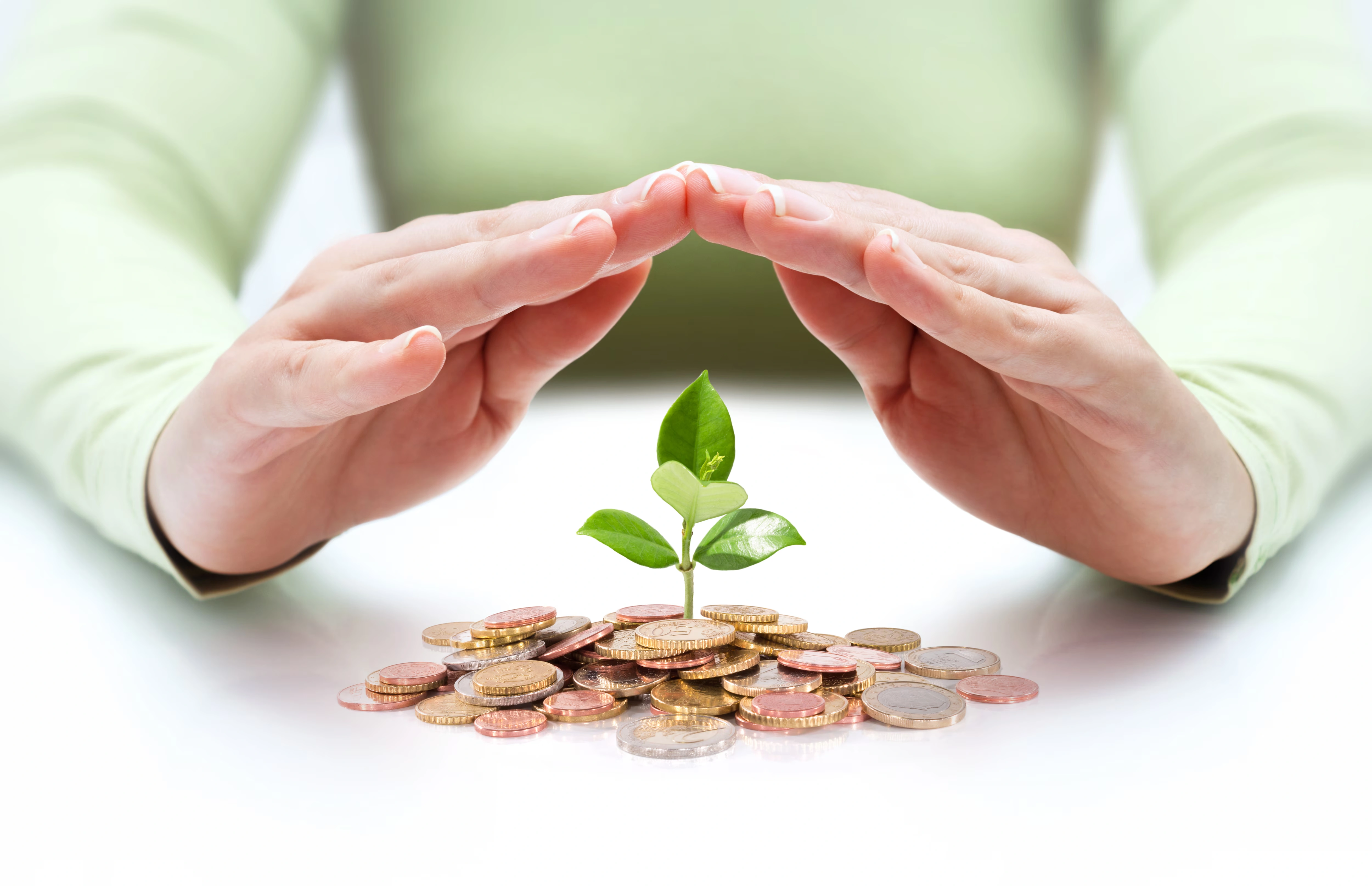 Malayoram Chits - Growing Financial Prosperity